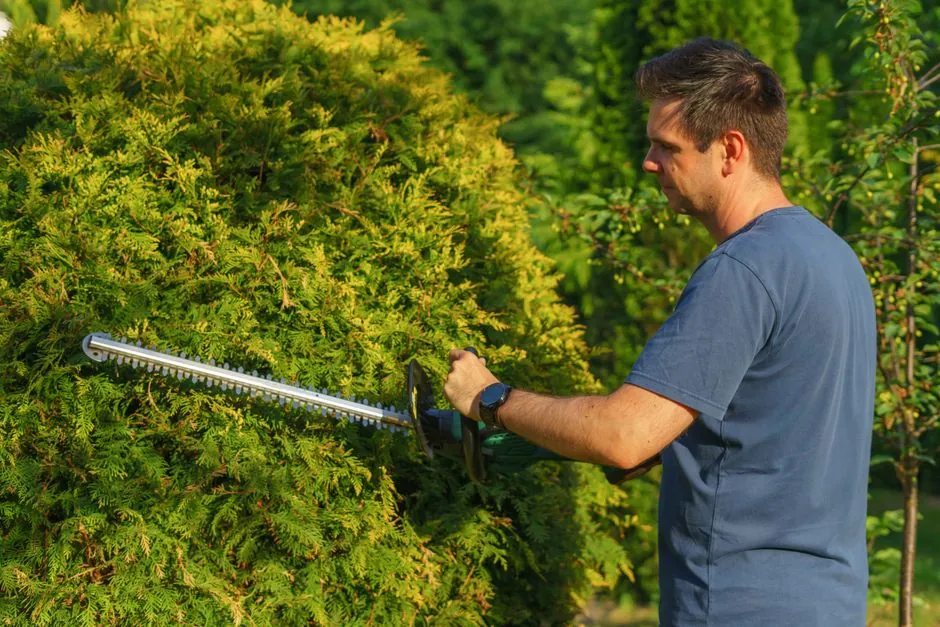 Jardin pavillonnaire entretenu au Mans